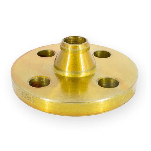 Stainless Steel Flanges