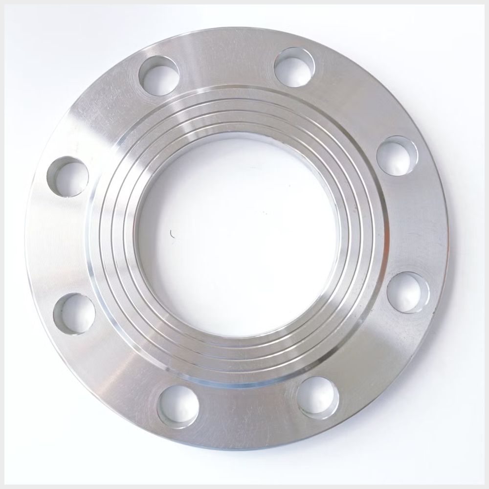 Stainless Steel 317/317L Flanges